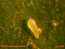 images (3)
