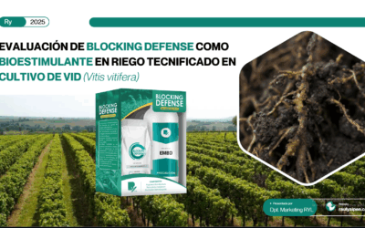 EVALUACIÓN DE BLOCKING DEFENSE COMO BIOESTIMULANTE EN RIEGO TECNIFICADO EN CULTIVO DE VID (Vitis vitifera)