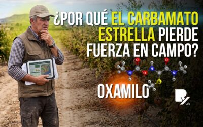 Degradación microbiana del oxamilo y pérdida de eficacia en el control de nematodos